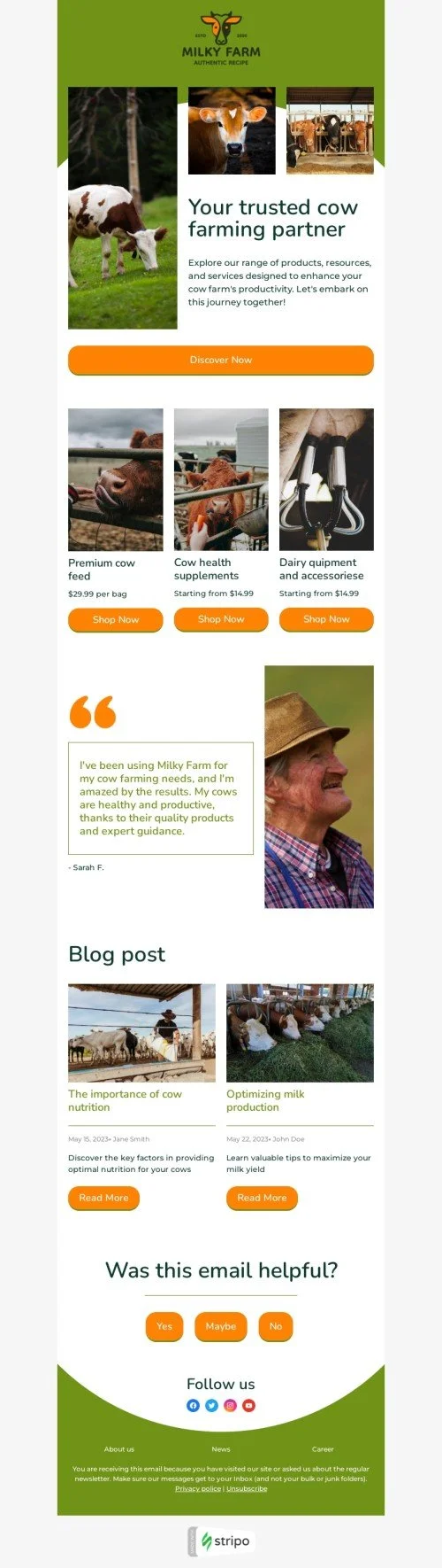 Promo email template "Your trusted cow farming partner" for agriculture industry