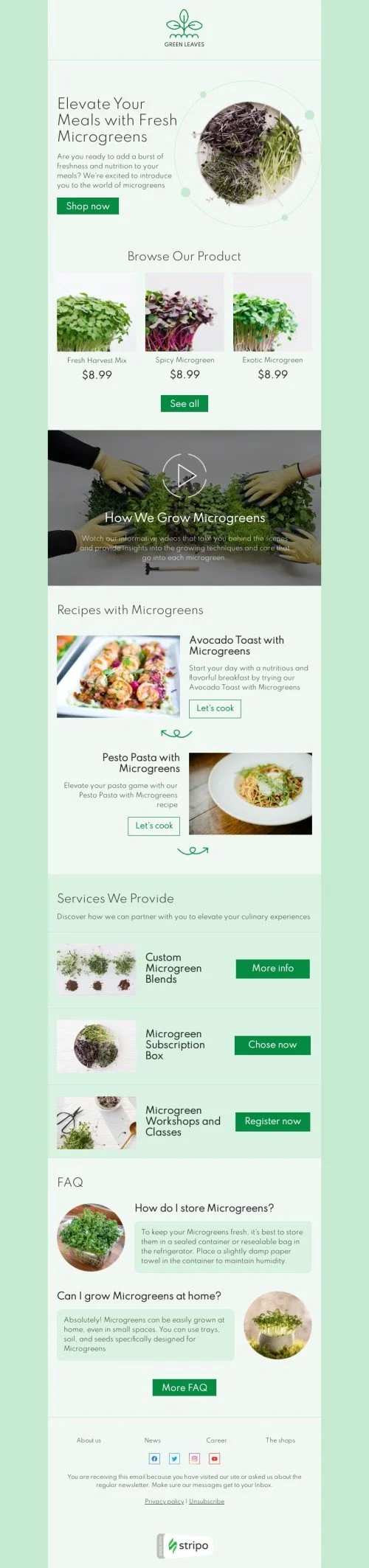 Promo email template "Elevate your meals" for agriculture industry