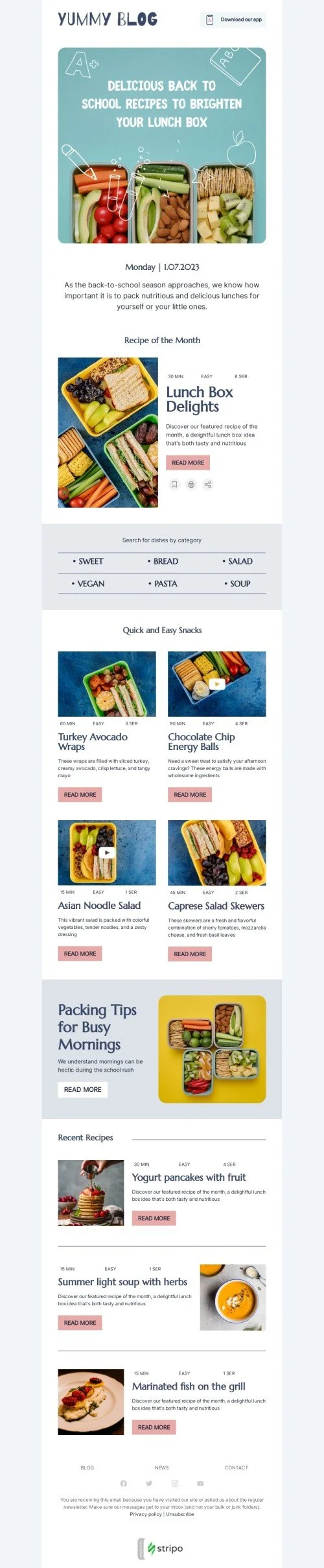 Back to school email template "Brighten your lunch box" for publications & blogging industry