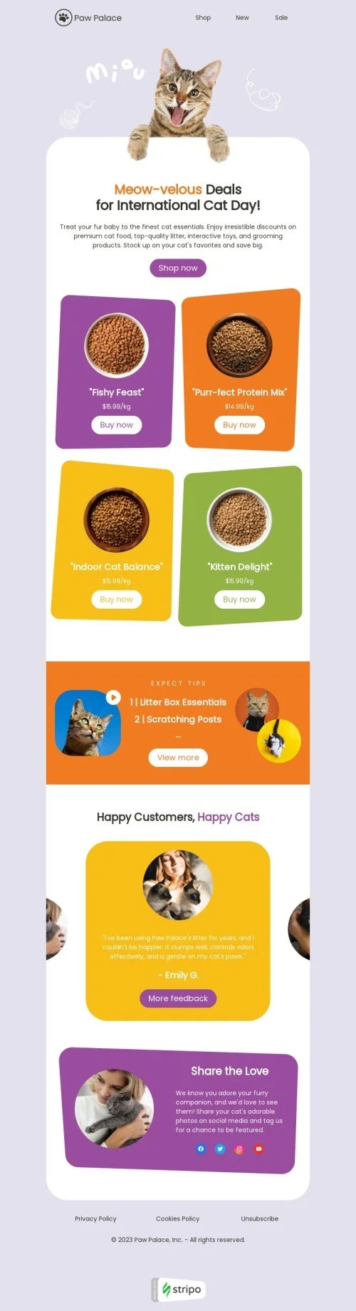 International Cat Day email template "Happy cat" for pets industry