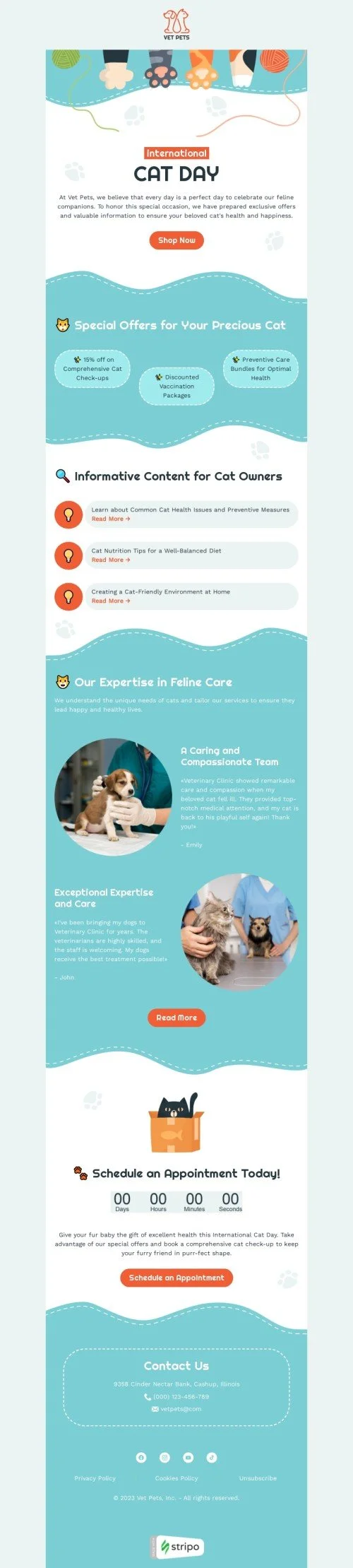International Cat Day email template "Your precious cat" for pets industry