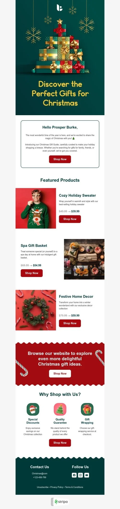 Christmas email template "Perfect gifts for Christmas" for books & presents & stationery industry
