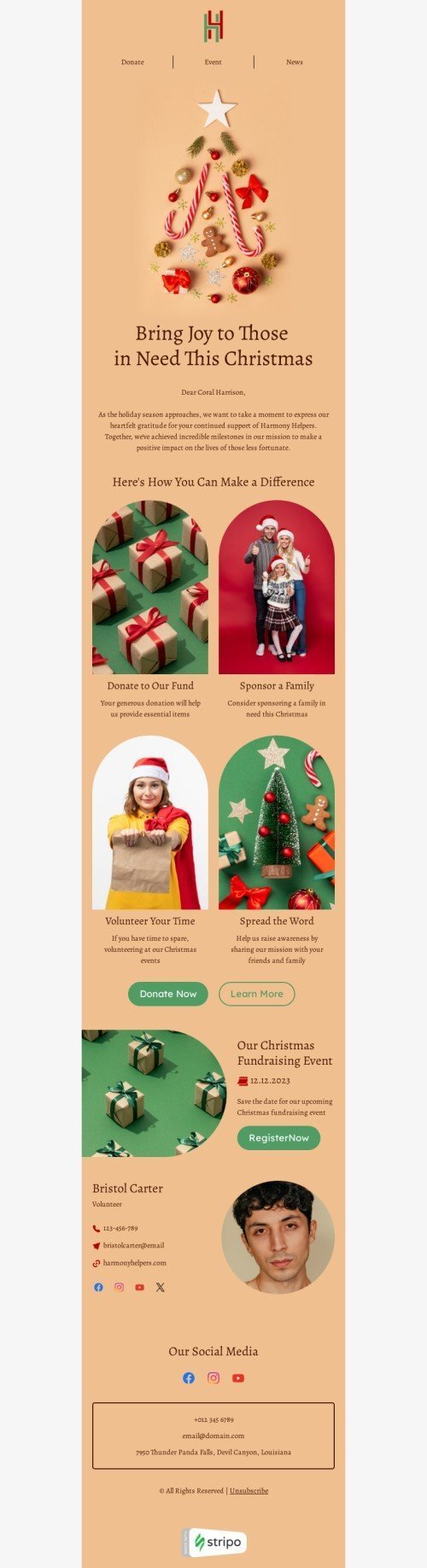 Christmas email template "Bring joy" for nonprofit industrydesktop view