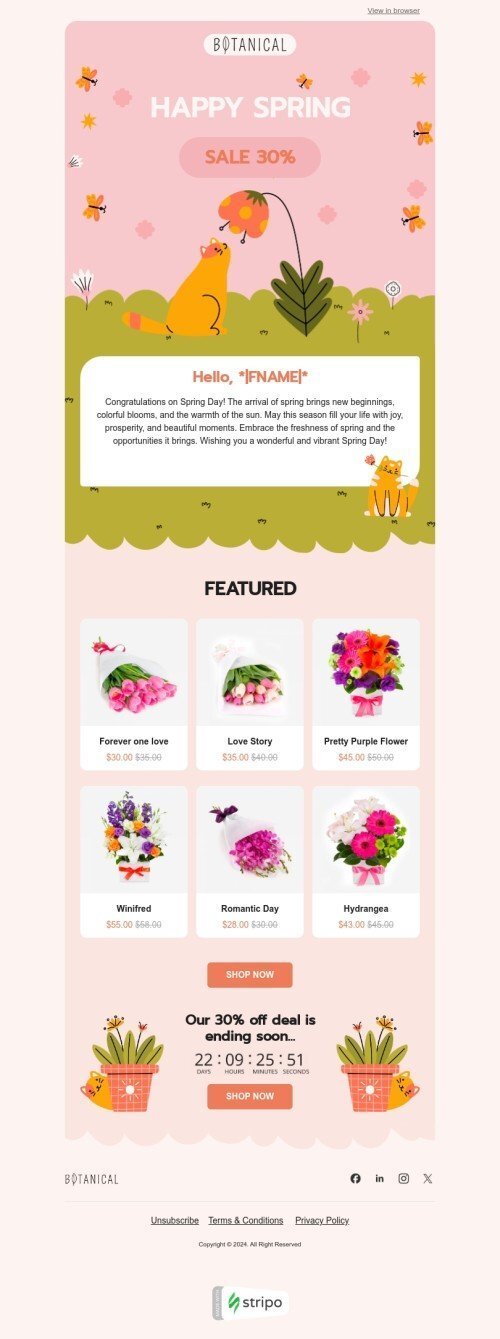 Spring email template "Spring flowers" for gifts & flowers industry mobile view