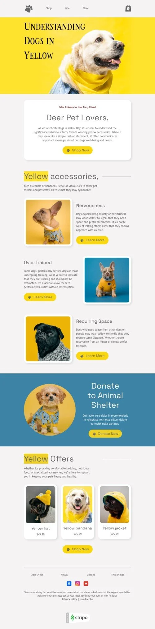 Dogs in Yellow Day email template "Understanding dogs in yellow" for pets industry