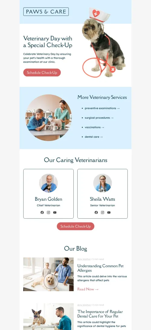 web-2925892