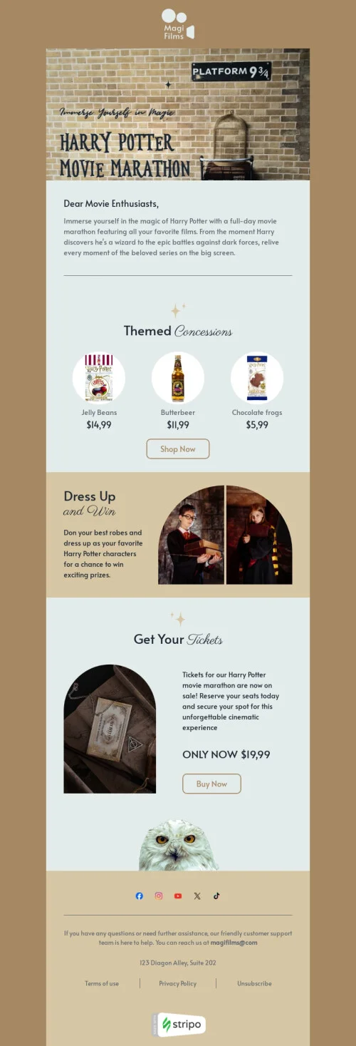 Harry Potter Day email template "Movie marathon" for movies industry