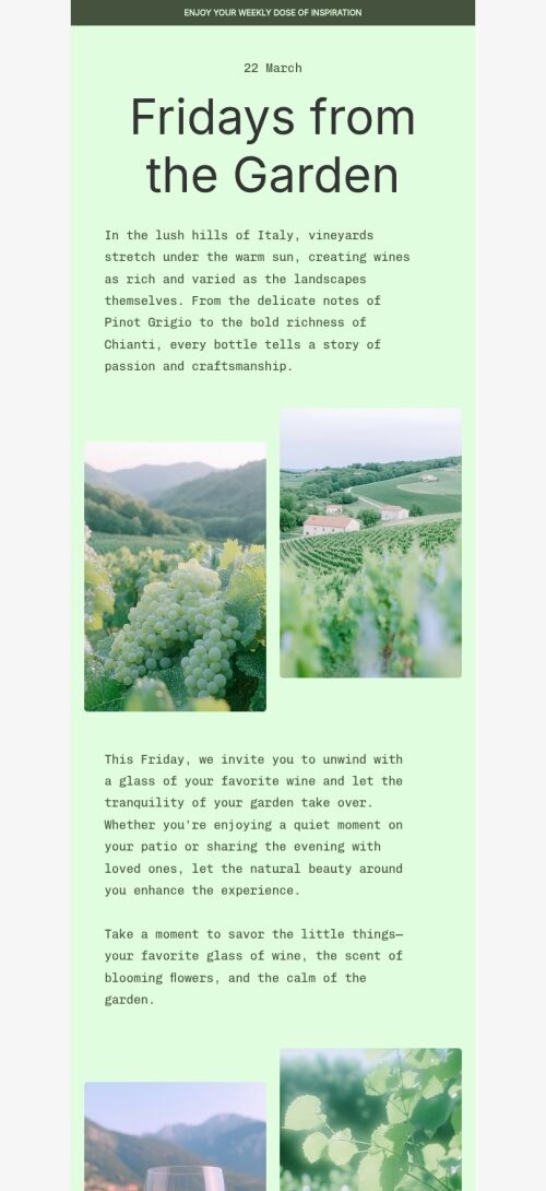 Plantilla de correo electrónico de resumen "Viernes desde el jardín" para la industria de las bebidas Vista de móvil