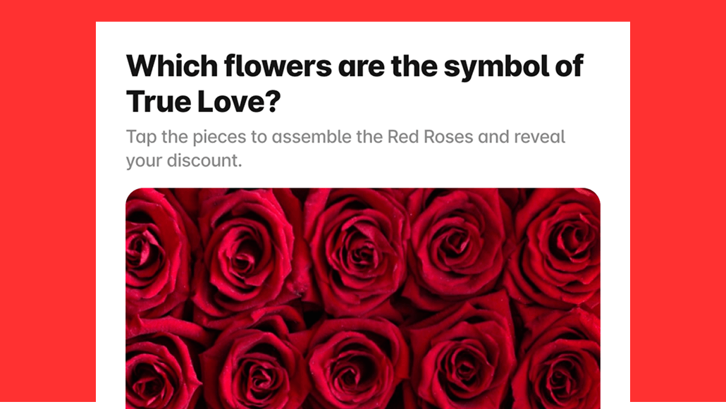 Puzzle Quiz
